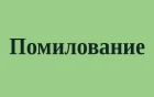Заседание комиссии по вопросам помилования на территории Нижегородской области состоялось 26.04.2024 года